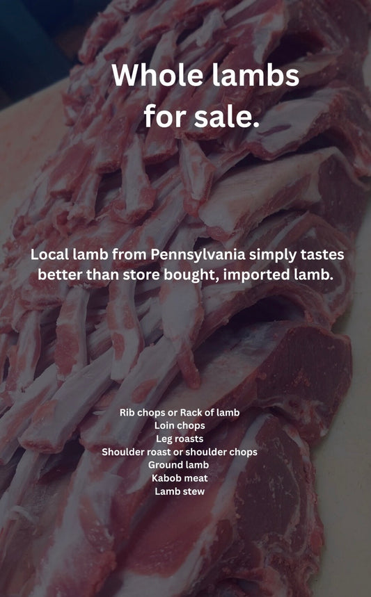 Lamb Package